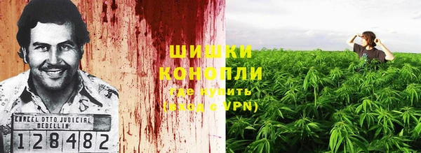 каннабис Алзамай