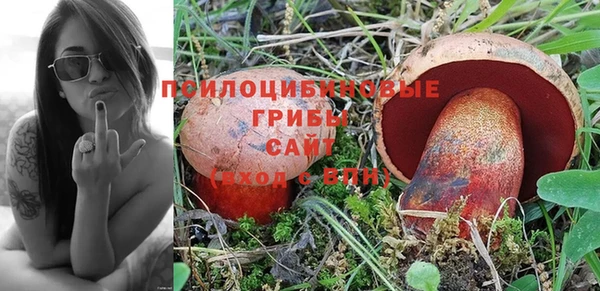 каннабис Алзамай
